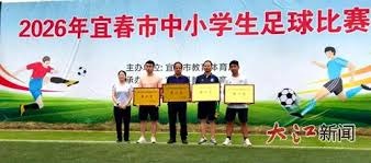 德国队在世界杯小组赛中轻取科特迪瓦队